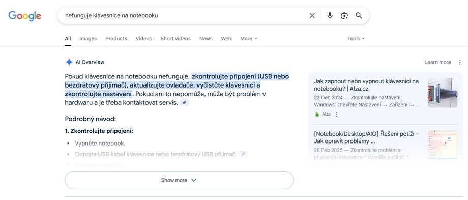 AI overview ukázka