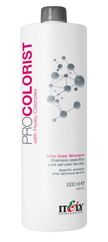 PROCOLORIST AFTER COLOR SHAMPOO 1000 ml