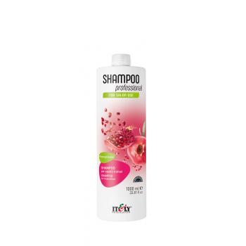 PROFESSIONAL Pomegranate Shampoo 1000 ml